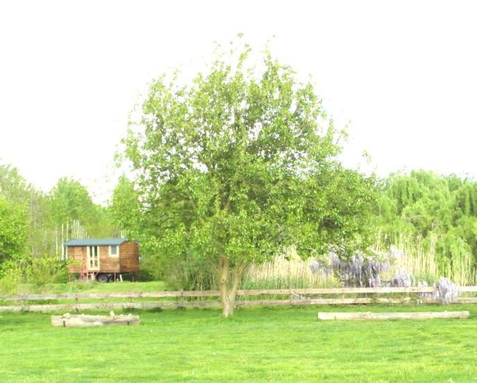 Casetta Sul Lago Albairate Exteriör bild